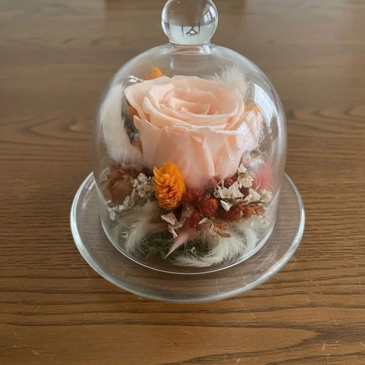 Cloche en verre avec composition de fleurs séchées et rose éternelle